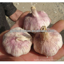 Jinxiang ail, ajo, ail, alho bulbs